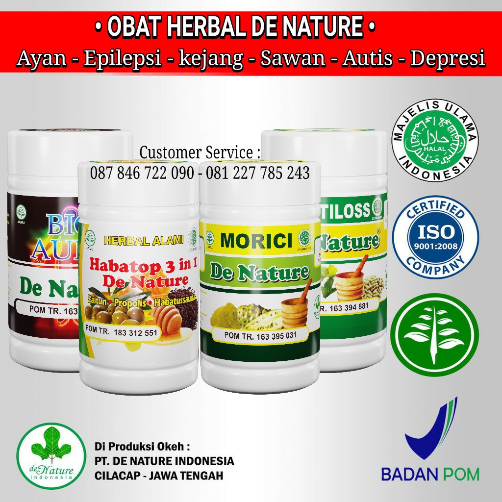 Obat Epilepsi Asli Herbal De Nature