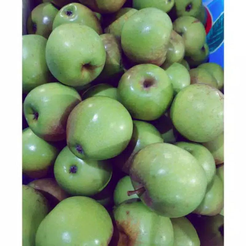 

apel manalagi 1kg