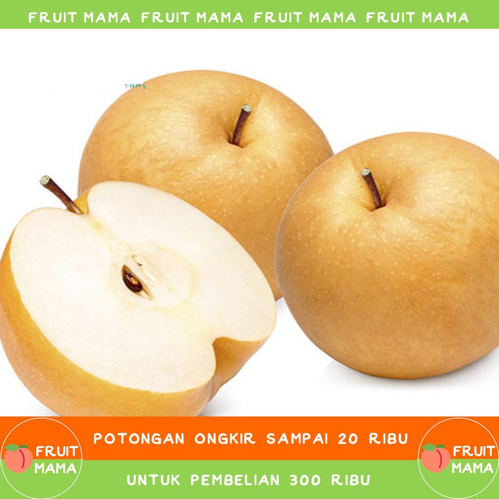 

Pear Singo (1 pcs) | Belanja Buah Pir Online | Fruit Mama