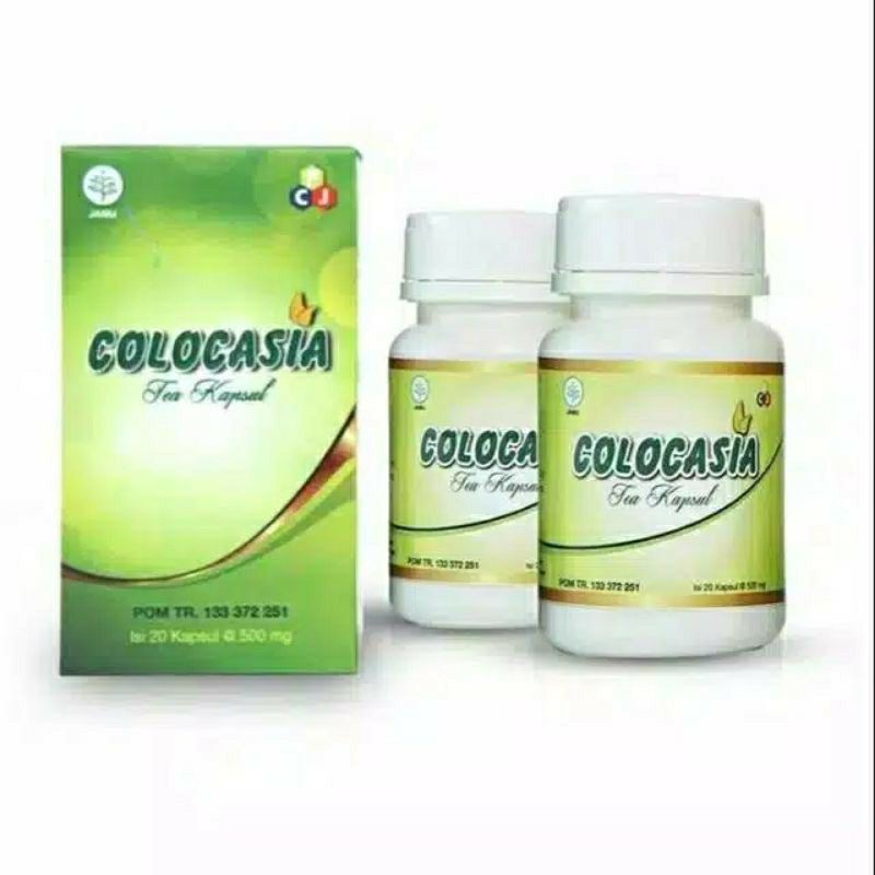 COLOCASIA OBAT NYERI SENDI ASLI AMPUH