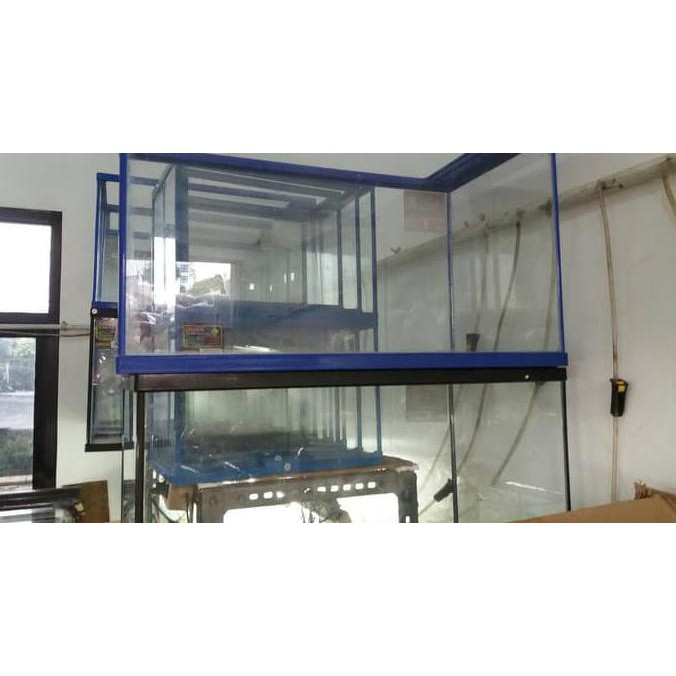 dioder aquarium nikita star 60x30x35 the best