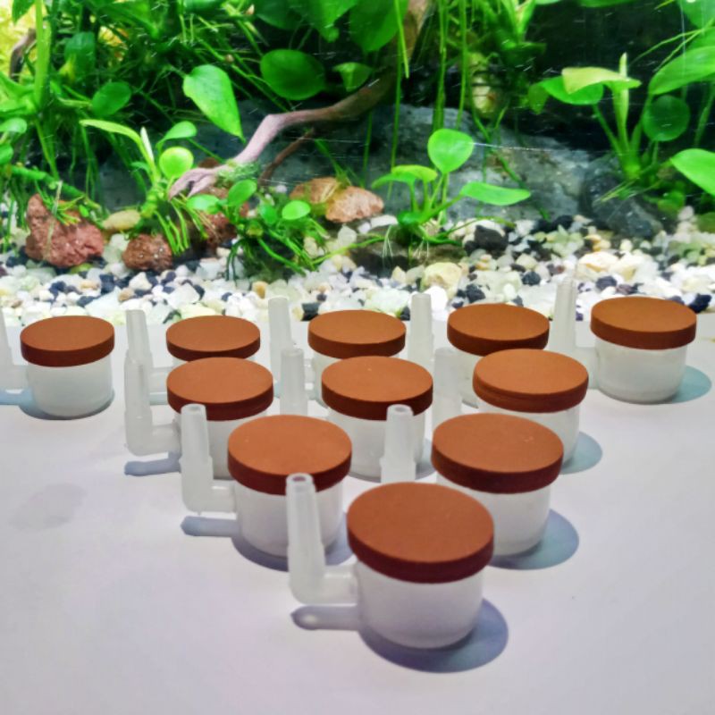 Diffuser Co2 DIY/Diffuser Co2 Nano/Aquascape/Ragul/Cisod