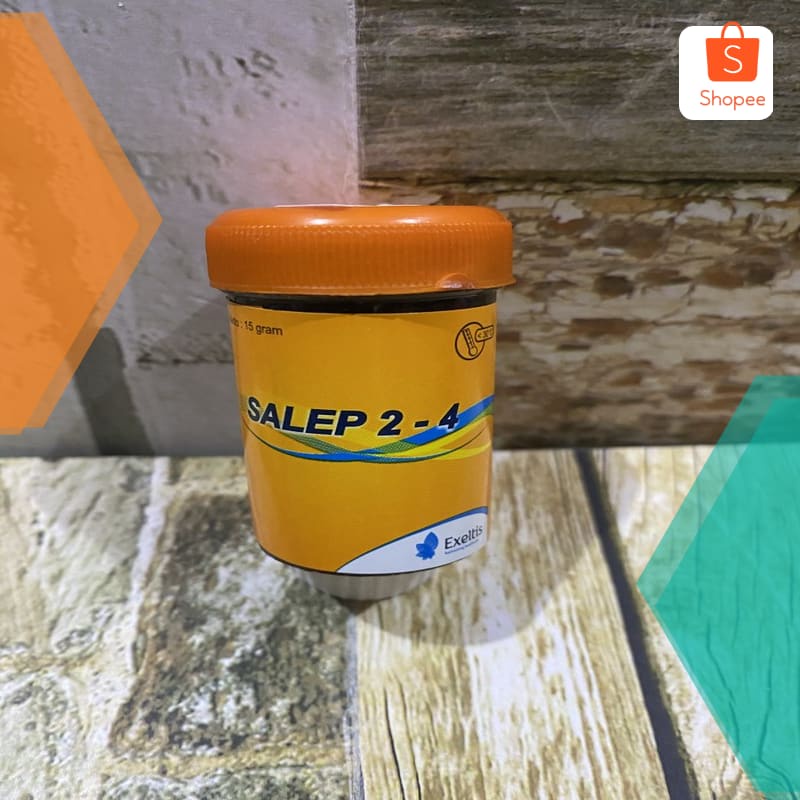 salep 24 salep kudis salep 2 4 original Terlaris