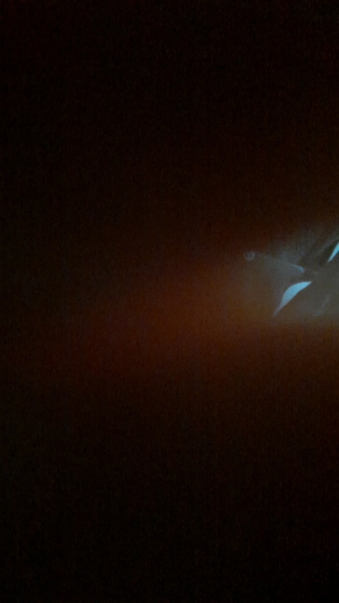 Dispenser Tempat Penyimpanan Kantong Plastik Sampah / Bekas Storage Box Organizer