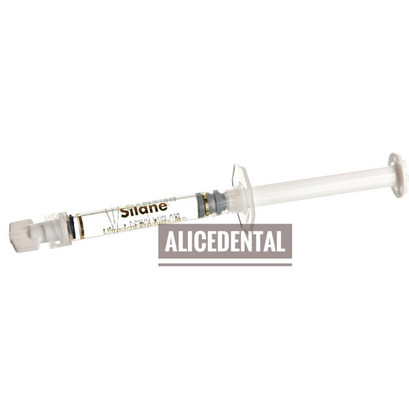 Alice Dental silane ultradent endo endodontic