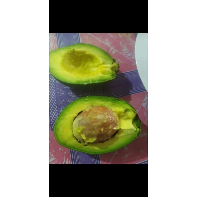 

alpukat madu