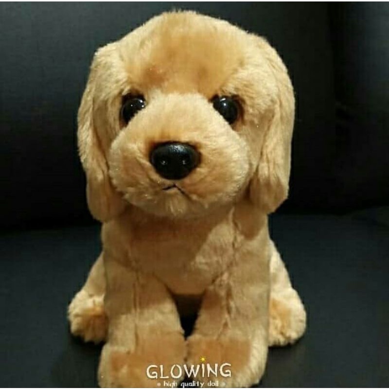 Boneka Anjing Golden