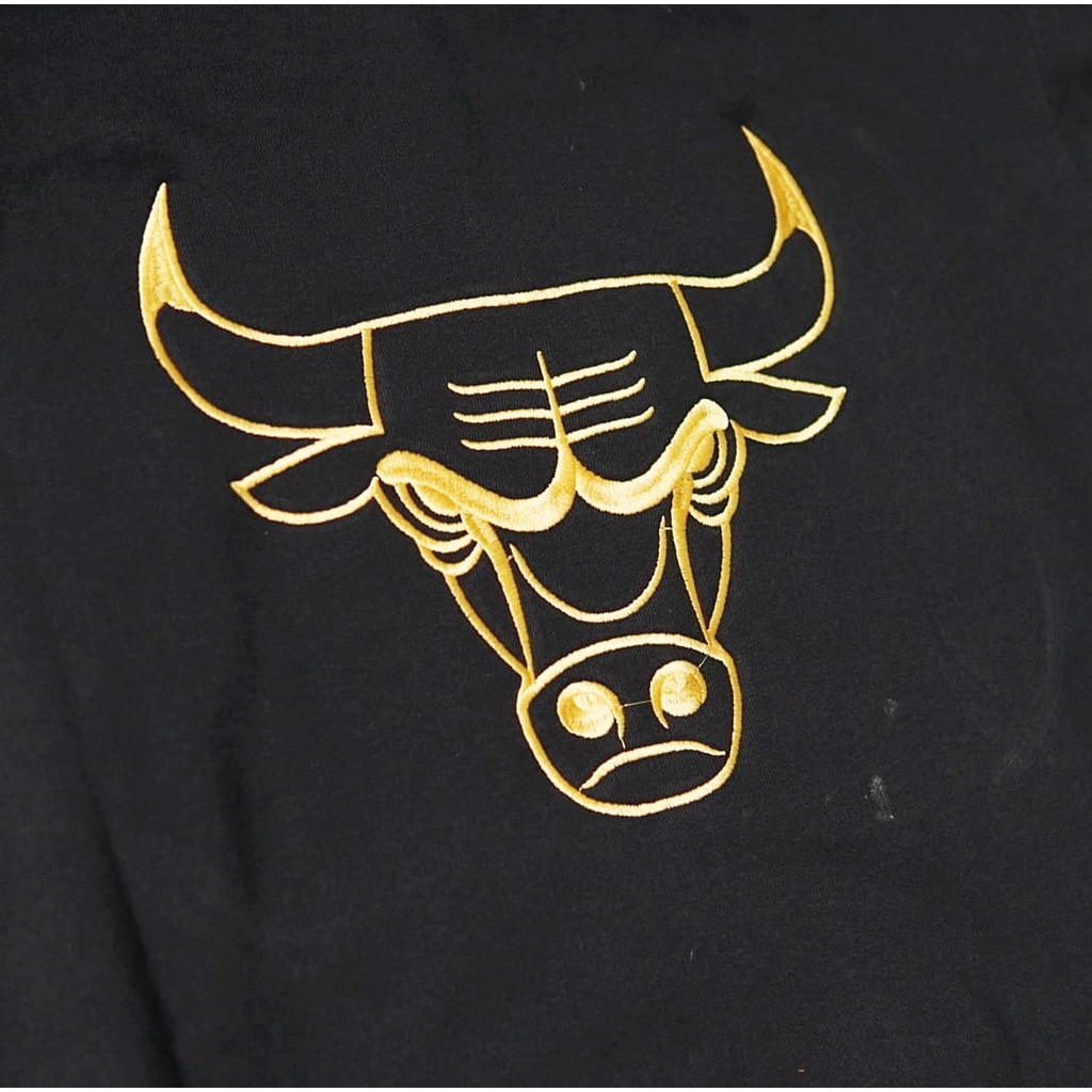 Sweater Hoodie Nike x NBA Bulls Premium