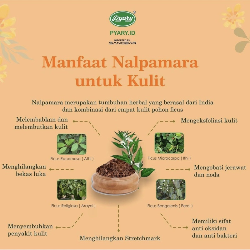 [BPOM] SABUN ARAB PYARY NALPAMARA ORIGINAL TURMERIC SOAP SABUN ARAB BPOM ORIGINAL INDIA SABUN PENCERAH KULIT