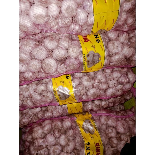 

Bawang putih kanting