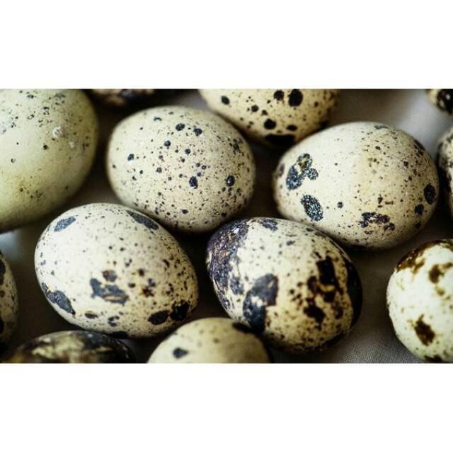 

Telur Puyuh (Matang)