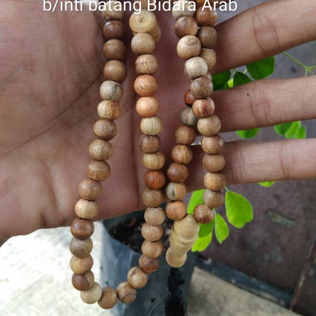 Tasbih 99 kayu galih Bidara Arab/inti batang Bidara Arab