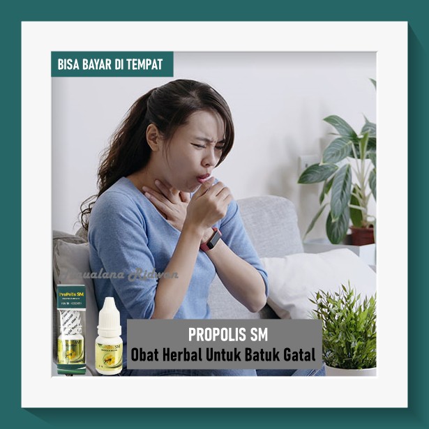 Obat Batuk Gatal, Batuk Kering, Batuk Berlendir, Obat Batuk Menahun Walatra Propolis SM