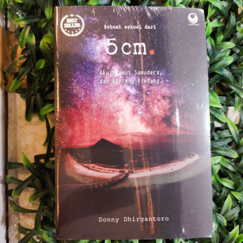 5cm : Aku, Kamu, Samudera, dan Bintang Bintang