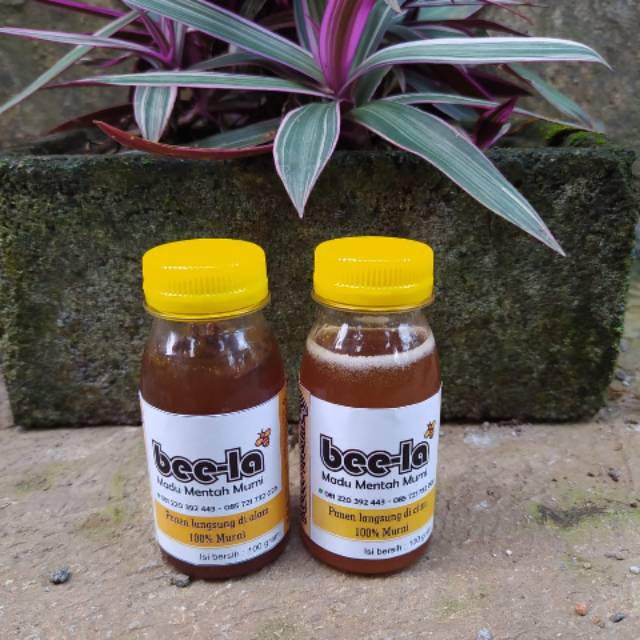 

Madu murni bee-la