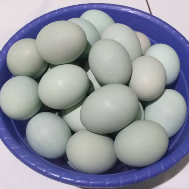 

TELUR ASIN SUPER