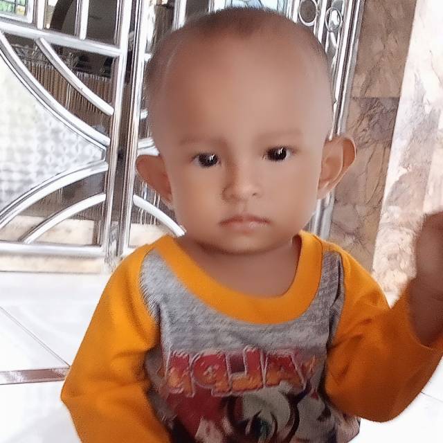 nanaauliyapitydolphin