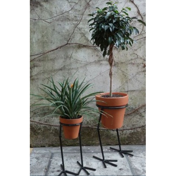 Rak besi tanaman hias unik