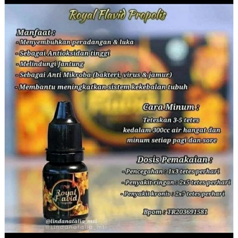 MSI Royal Plafid Propolis