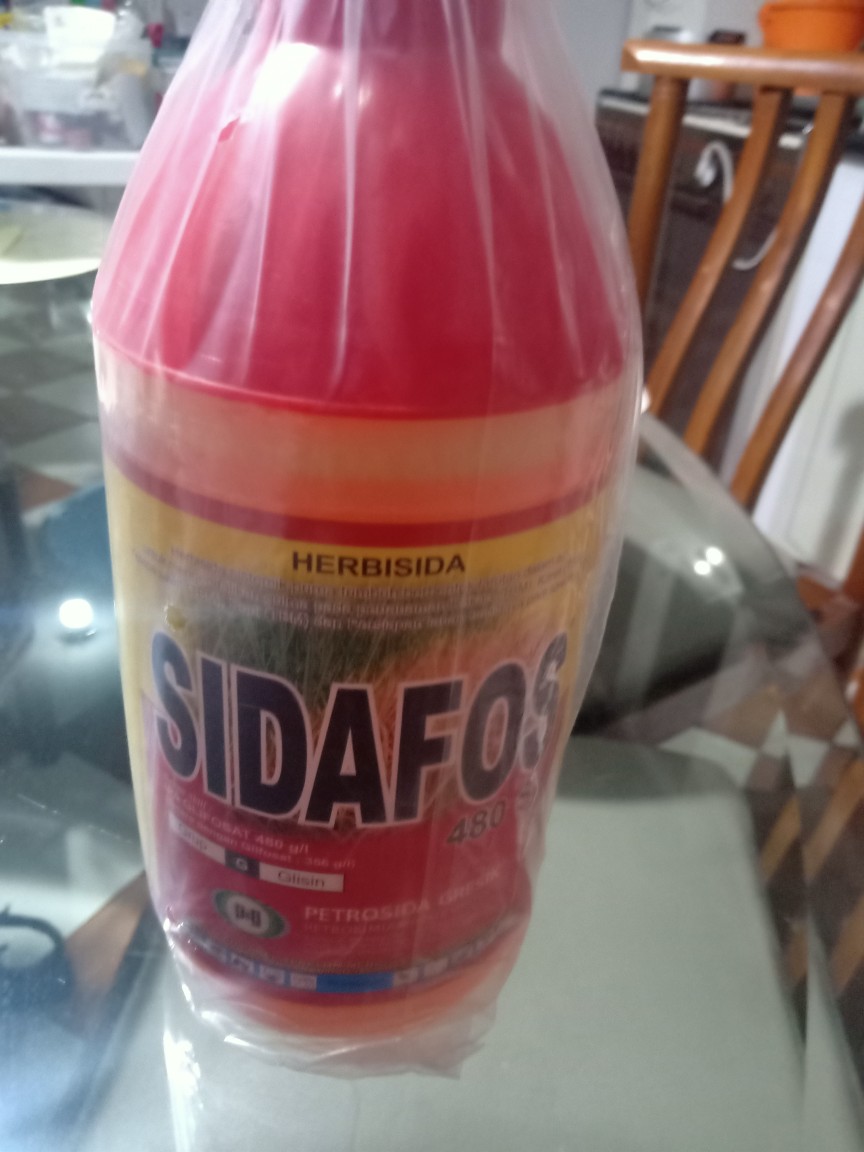 Sidafos 1 L Herbisida Rumput Sistemik Mati Hingga Ke Akarnya