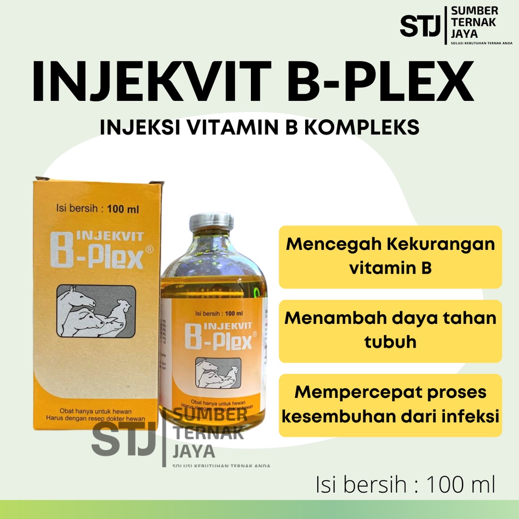 Jual Injekvit B-Plex Injeksi Vitamin B Kompleks Isi 100 Ml Untuk Hewan ...