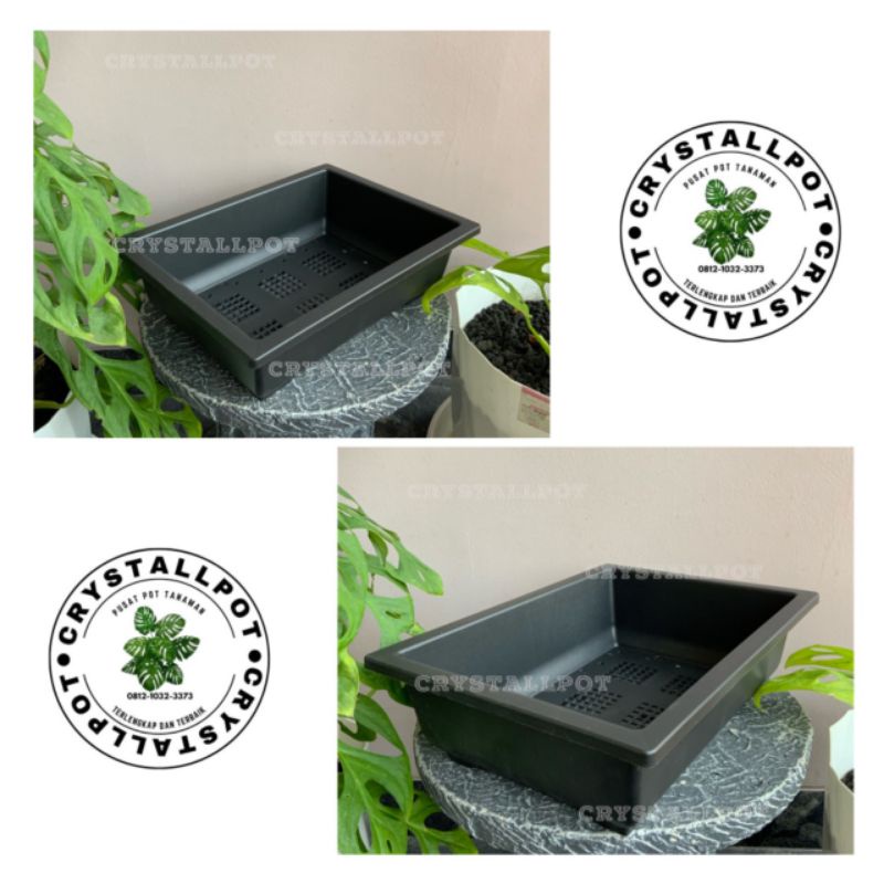 pot bunga tanaman ceper NKT BONSAI 02 HITAM - NKT BONSAI 02 HITAM