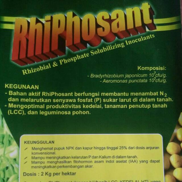 Pupuk PGPR Rhiphosant