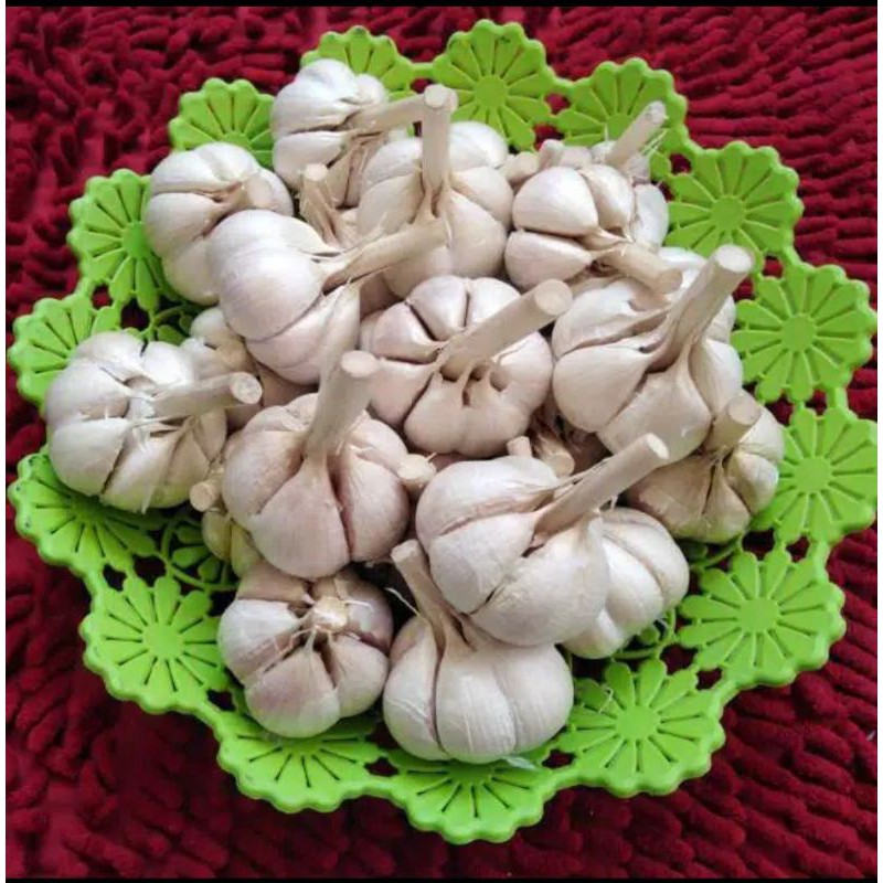 

Bawang putih kating 1kg