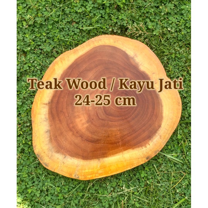 Teak wood 24-25 cm slice log potongan kayu jati dekorasi talenan alas || Talenan kayu murah || Talen