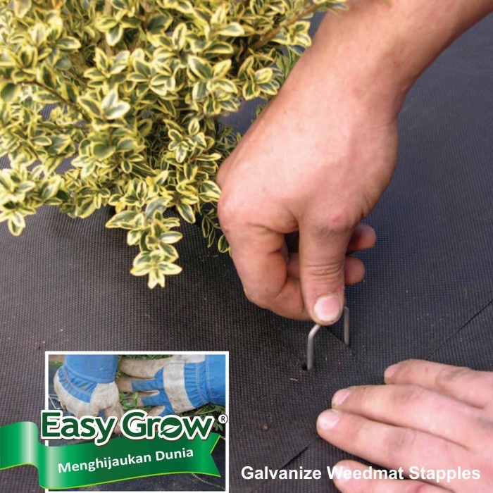 EASY GROW - Weedmat Stapples Galvanis 6 x 11 cm isi 10