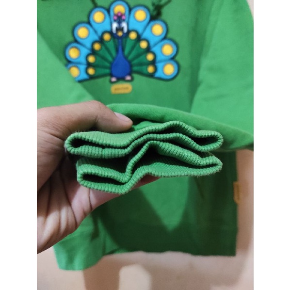 pancoat merak