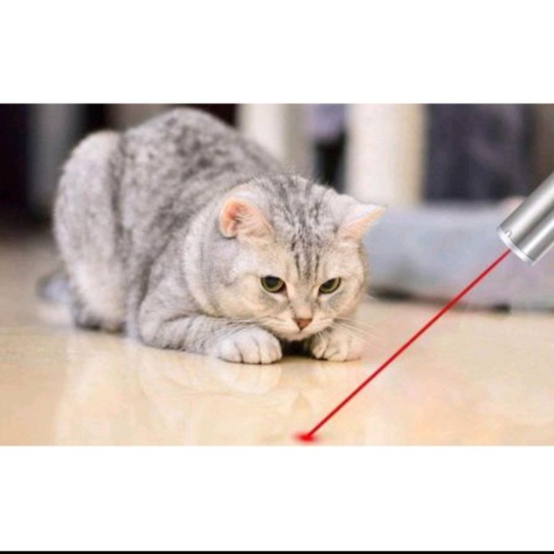 LASER MAINAN KUCING-LASER KUCING-LASER CAT TOYS TERMURAH