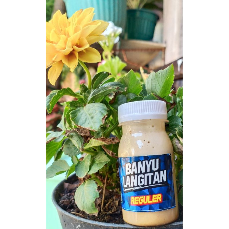 Vitamin burung Trucuk Banyu Langitan botol  50 ml