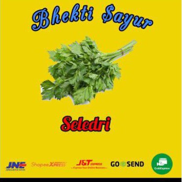 

Daun Sledri 1ikat