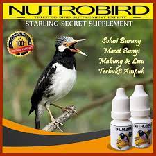 NUTROBIRD JALAK STARLING VITAMIN OBAT PENGGACOR BURUNG JALAK GACOR NOJ.