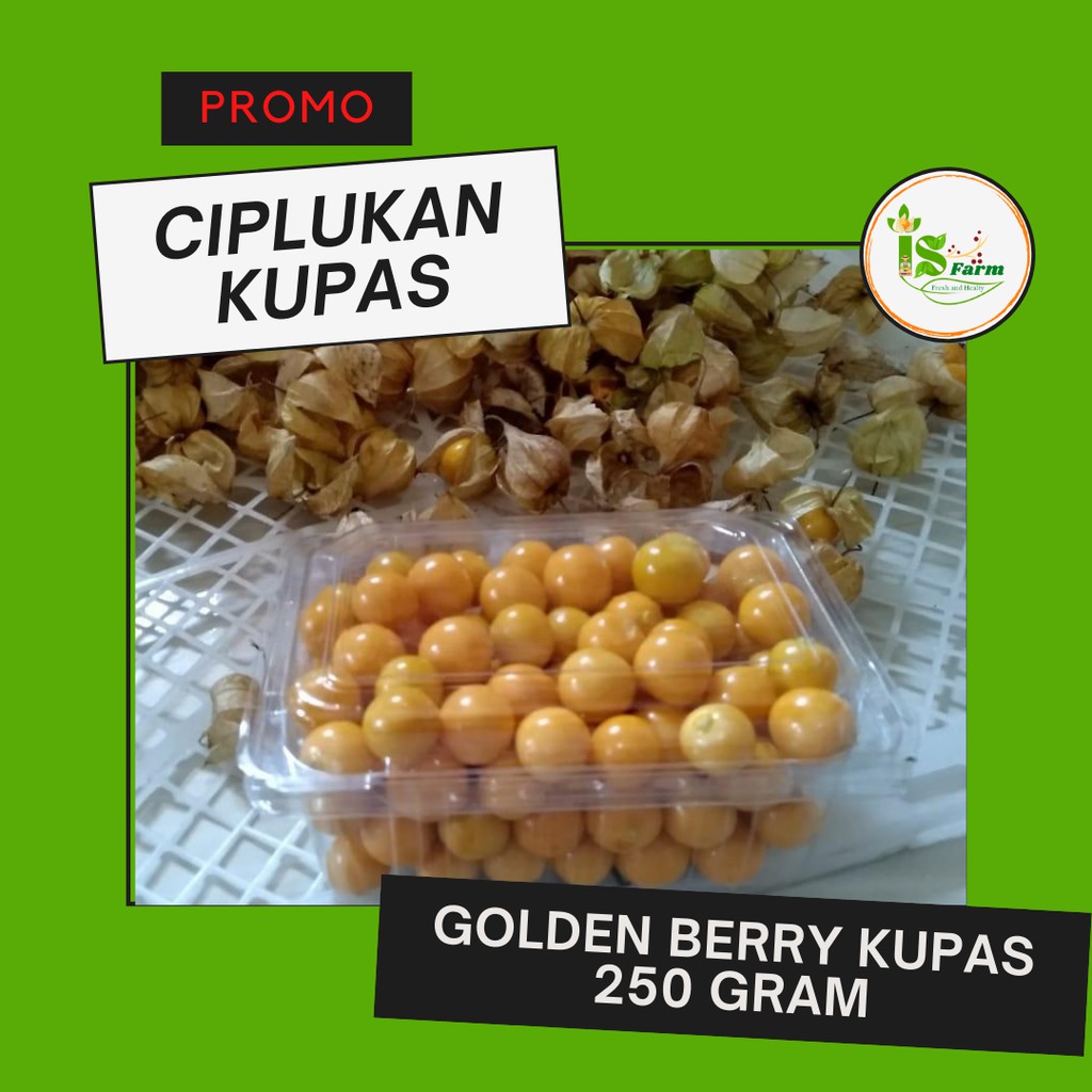 

Buah Ciplukan / Golden Berry 250 gram