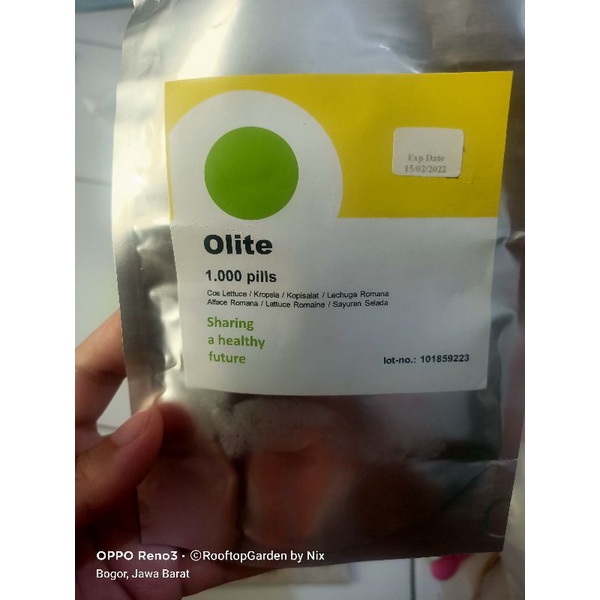 RZ7/5 - Benih biji bibit kemasan seribu ecer repack selada mini cos lettuce Olite RZ rijk zwaan