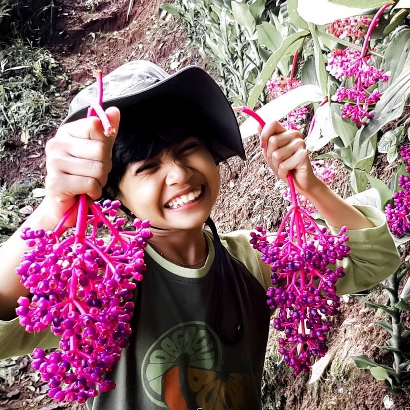 1 KG Buah Parijoto Untuk Promil GRAM FREE TESPEK FRESH Asli Muria Kudus Asli Buat Ibu Hamil