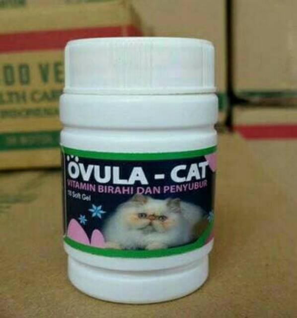 Obat Kucing Penumbuh Birahi OVULA CAT