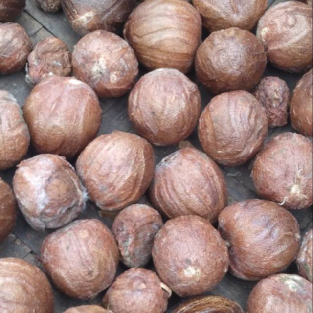 

1 kg Biji pala muda kering