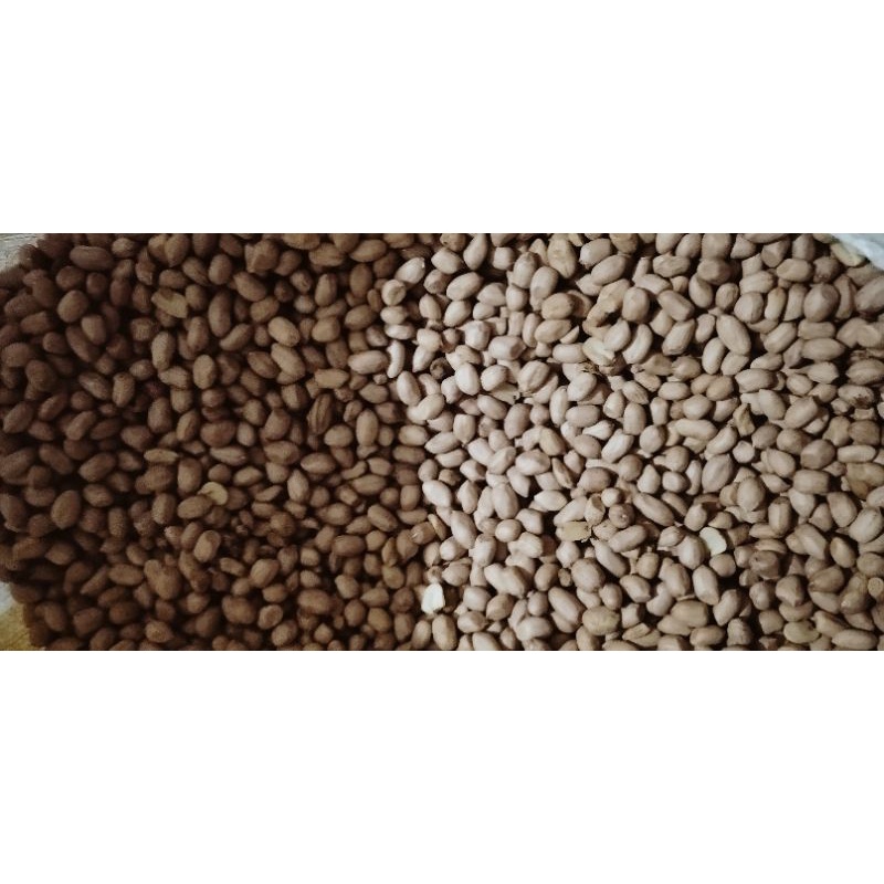 

kacang tanah kupas 500gr