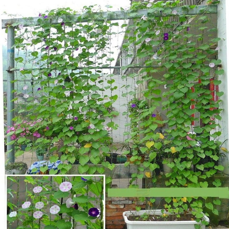 Mi.more Jaring Tanaman 1.8*2.7M /0.9*1.8m/1.8*3.6m Rambatan/Jaring Anggur Sayuran/Plant Climbing Net