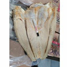 

Ikan jambal roti 1kg