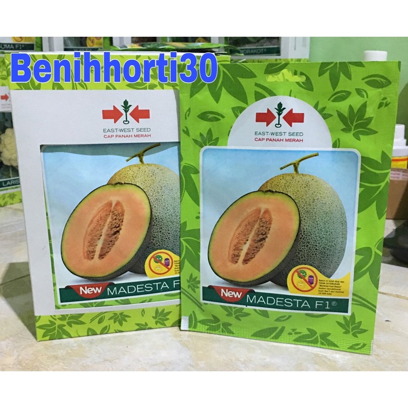 Benih Melon New Madesta isi 40 butir