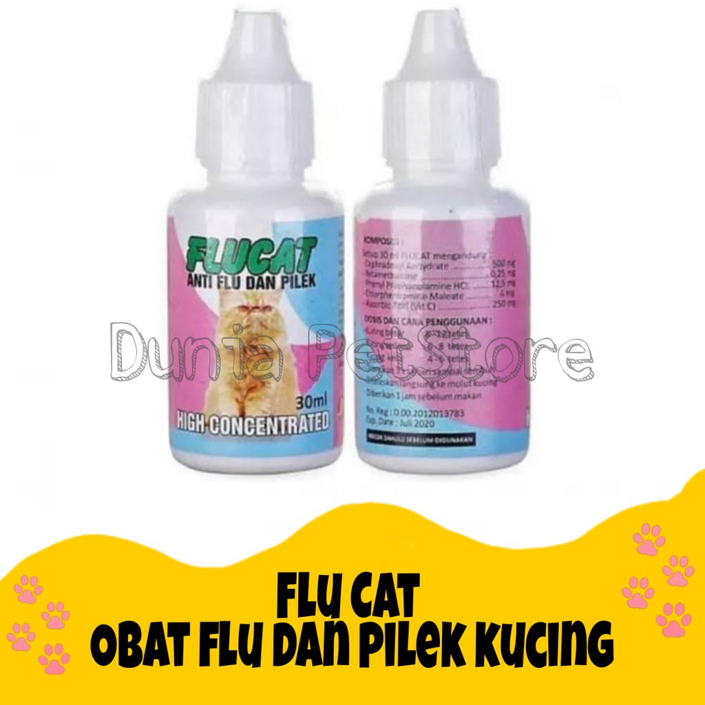 Obat Flucat Kucing