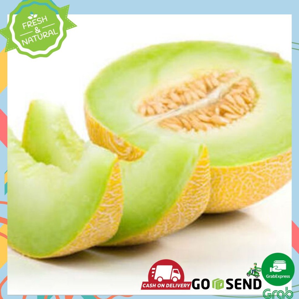 

BUAH MELON MADU