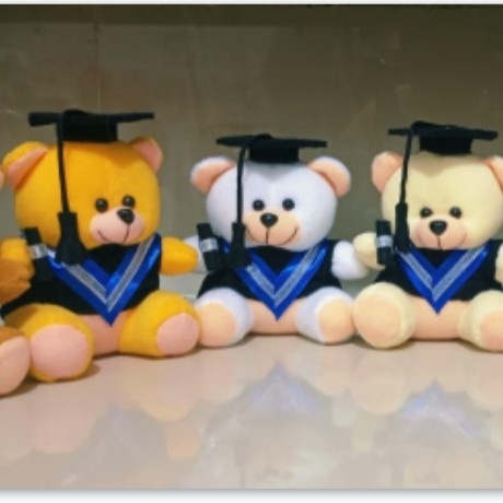Boneka teddy bear boneka wisuda teddy bear boneka graduation