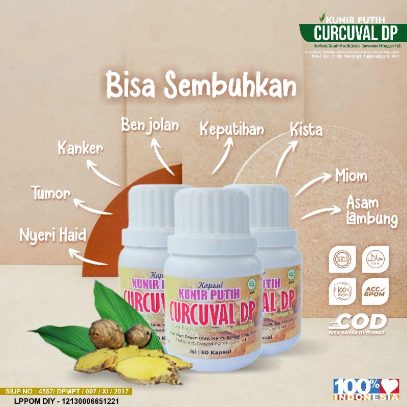 

Kunyit Putih Kunir Putih Temu Putih Obat Herbal Berbagai Macam Penyakit Alami Tanpa Efek Samping