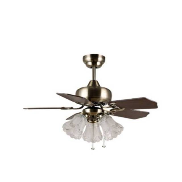 CEILING FAN MT EDMA MIRAMAR
