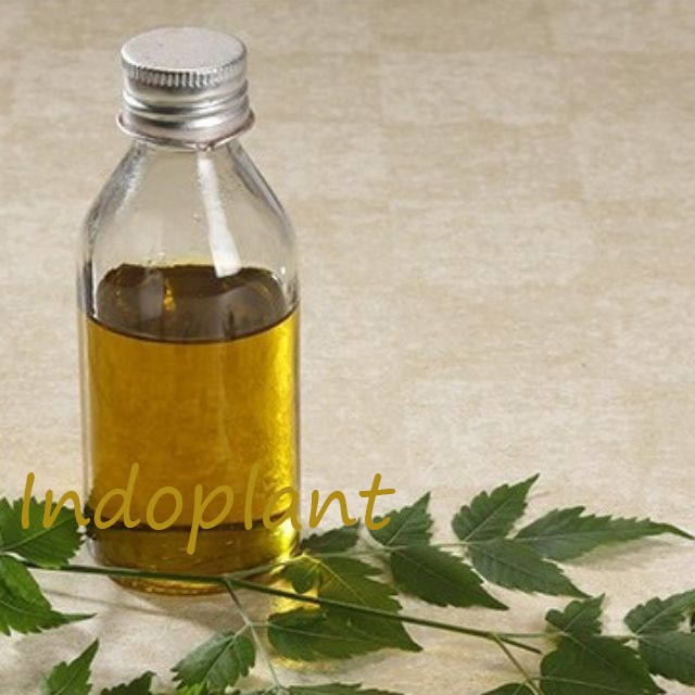 Neem Seed Oil 100 ml - Minyak Biji Mimba Organik 100% Minyak Nimba Murni